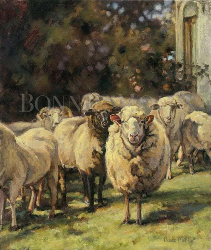 Gathered Together